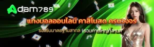 Adam789 หน้าแรก